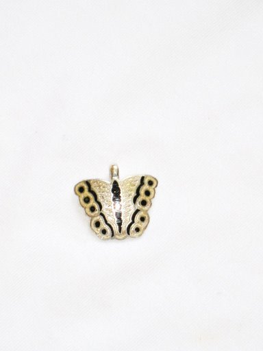 Enameled Pendant in Sterling Silver
