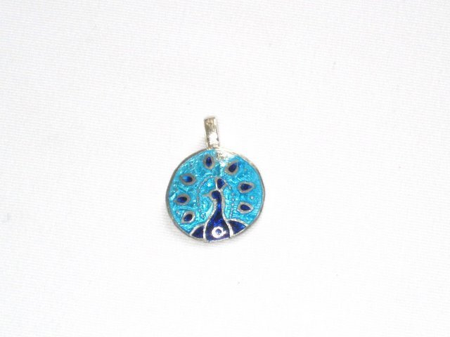 Enameled Pendant in Sterling Silver