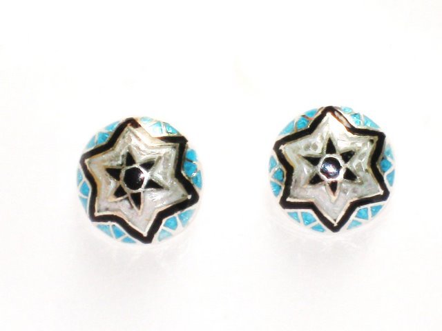 MN193 Enameled Earrings in Sterling Silver