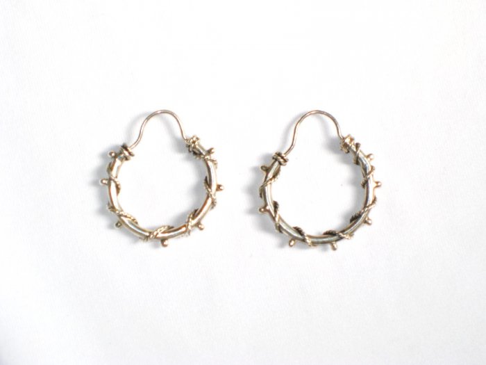 AQ077 Earrings in Sterling Silver