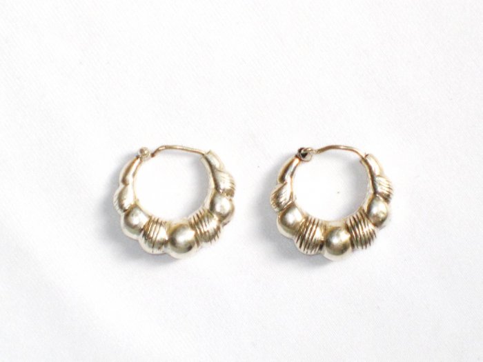 AQ078 Earrings in Sterling Silver