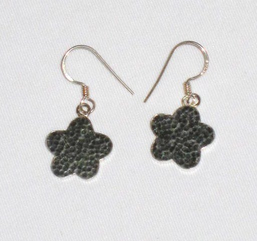 AQ101 Earrrings in Sterling Silver