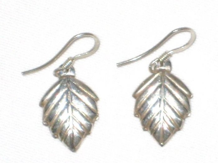 AQ102 Earrrings in Sterling Silver