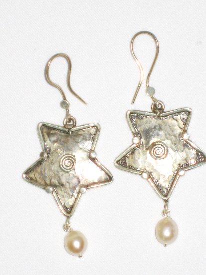 AQ104 Earrrings in Sterling Silver