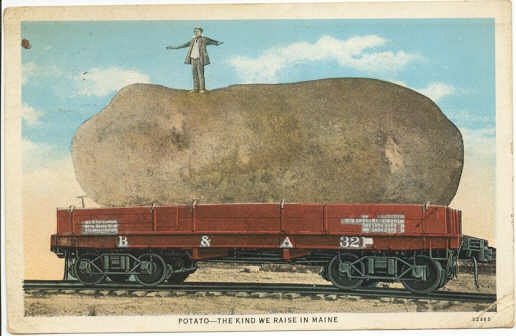 Giant Maine Potato on B & A Railroad Car Postcard - 1931 train #0203