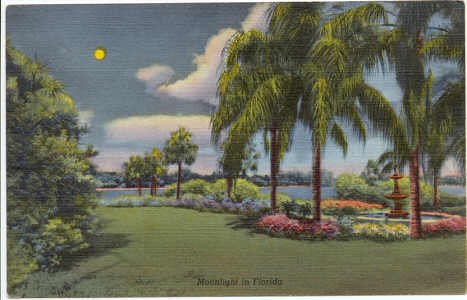 Moonlight in Florida Vintage Linen Postcard 1943 C.T. Art-Colortone FLA #0060