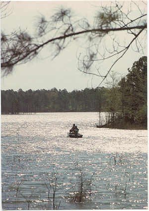 A Fisherman's Paradise, DeGray State Park, AR #0094