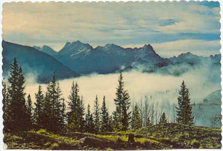 Scenic View of the Towering Peaks of the Colorado Rockies above the clouds Chrome Postcard #0287
