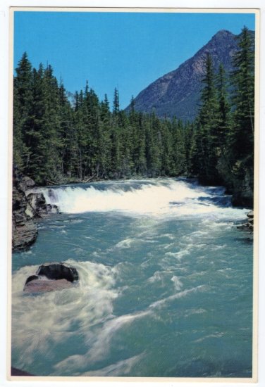 Falls in McDonald Creek, Glacier National Park, Montana Postcard #0326