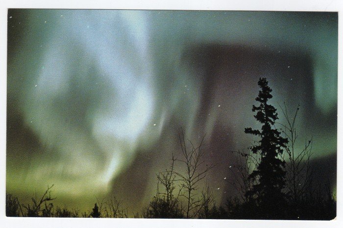 The Aurora Borealis Alaska Vintage Postcard Photo by Malcolm Lockwood #0399