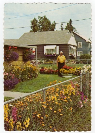 Flowers grown by Joe Hembreiker 1960s Postcard Fairbanks, Alaska #0403