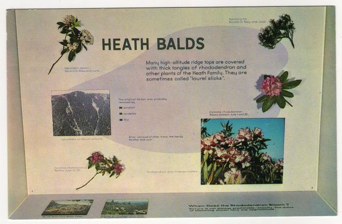 Heath Balds Exhibit Sugarlands Visitor Center Great Smoky Mountains National Park Gatlinburg TN 506