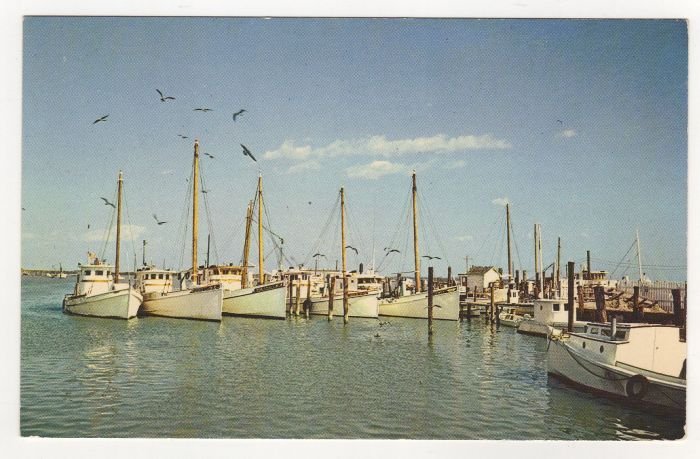 Tangier Island, VA home port fleet of boats postcard 1960s fishing crabbing oystering #0521