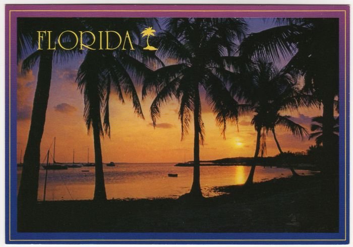 Florida Sunset at water edge Palm Trees sail boats Postcard Werner J. Bertesh Photo FL FLA #0528