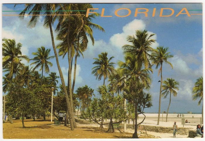 Tropical Florida Postcard Palm Trees and Beach Photo by John Gordash FL FLA #0526