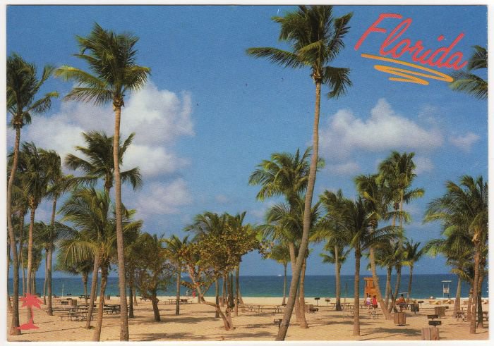 Blue Atlantic, Palm Trees and White Beaches Florida Postcard Photo by John Gordash FL FLA #0527