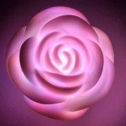 Romantic Rose Shape LED Light (Valentine's Day, romantic birthday..)