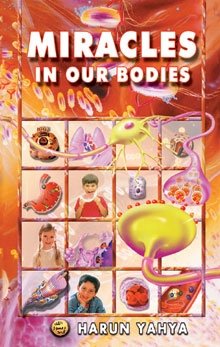 Miracle in our Bodies