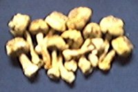 1 Kilo Dried Whole Agaricus Blazei Pack