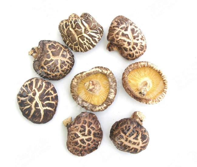 1 kilo Dried Organic Hana Donko Pack-shiitake mushoom