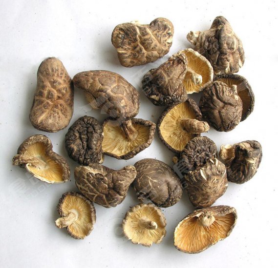 1 Kilo Dried Organic Donko Pack-shiitake mushoom