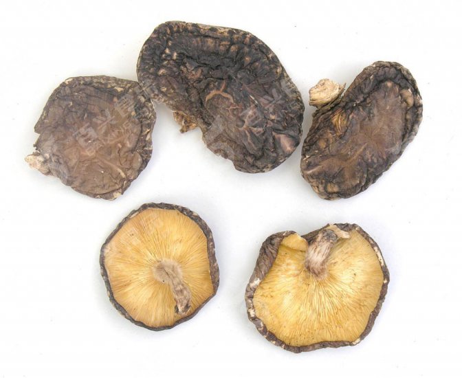 1 kilo Dried Organic Koshin Pack-shiitake mushoom