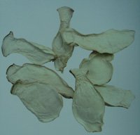 1 Kilo Dried Sliced Pleurotus Eryngii Mushrooms Pack