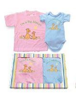 Big Sister Little Brother matching gift Tshirt set - 2T