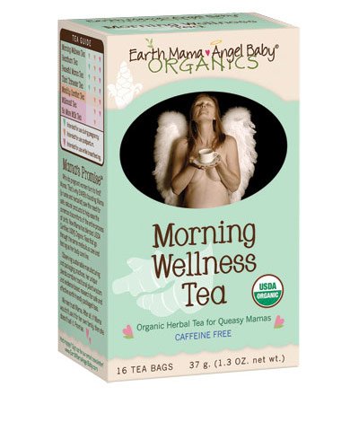 Earth Mama Angel Baby Organic Morning Wellness Tea 16ct