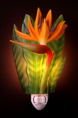 Bird of Paradise Nightlight - Ibis & Orchid Designs