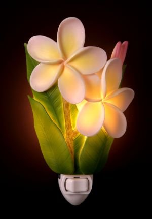 Plumeria Nightlight - Ibis & Orchid Designs