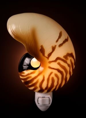 Nautilus Nightlight - Ibis & Orchid Designs