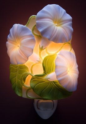 Morning Glory Nightlight - Ibis & Orchid Designs