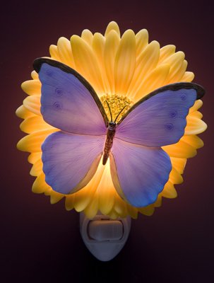 Blue Bfly/Gerber Nightlight - Ibis & Orchid Designs