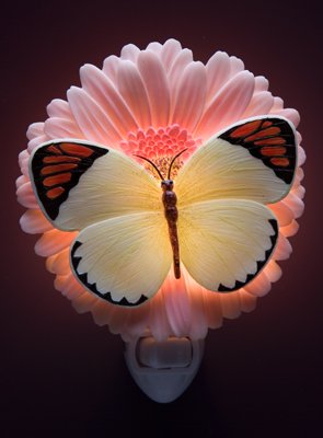 Orange Tip/Gerber Nightlight - Ibis & Orchid Designs