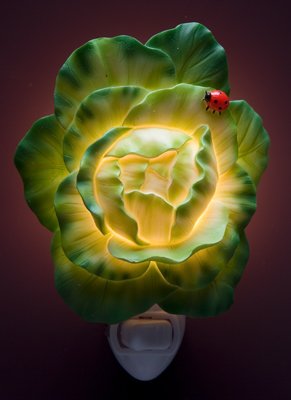 Cabbage & Ladybug Nightlight - Ibis & Orchid Designs