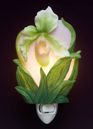Lady Slipper Orchid Nightlight - Ibis & Orchid Designs