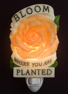 Set of 2 Bloom Where Planted Nightlight - Ibis & Orchid Designs