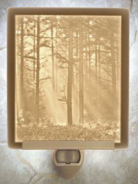 Woodland Sunbeams Flat Lithophane Nightlight