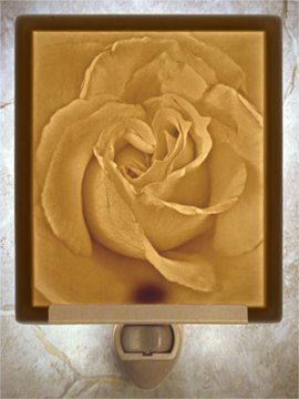 Rose Petals Flat Lithophane Nightlight