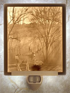Peaceful Dawn Flat Lithophane Nightlight