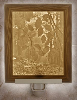 Secret Path Flat Lithophane Nightlight
