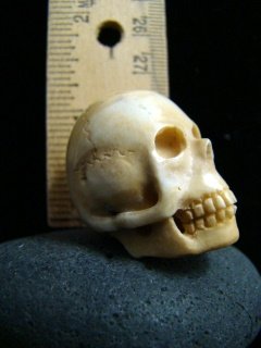 ANTIQUE ' MEMENTO MORI ' HAND CARVED SKULL - NUNS RELIC FATHER DAMIEN HAWAII