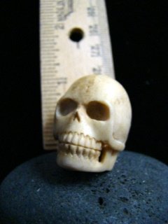SKULL - NUNS RELIC ' MEMENTO MORI ' ST. DAMIEN MEMORIAL - HAND CARVED ANTLER - HAWAII