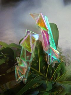 DICHROIC GLASS " BAMBOO ICE " PIERCED EARRINGS WEARABLE ART HYPO-ALLERGENIC