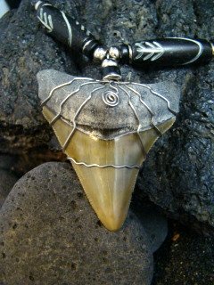 " MEGALODON " FOSSIL SHARK TOOTH NECKLACE - RARE GREEN