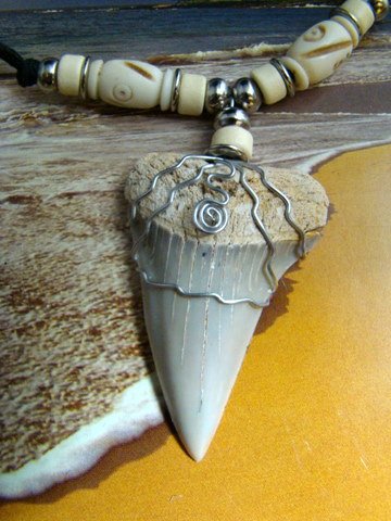 FOSSIL MAKO SHARK TOOTH NECKLACE ANTIQUE TIBETAN YAK BONE BEADS 1 7/8" FREE SHIPPING!!