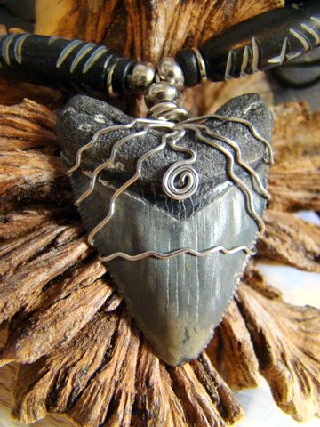 MEGALODON FOSSIL SHARK TOOTH NECKLACE CARVED BLACK BONE BEADS 1 3/4" FREE SHIPPING!