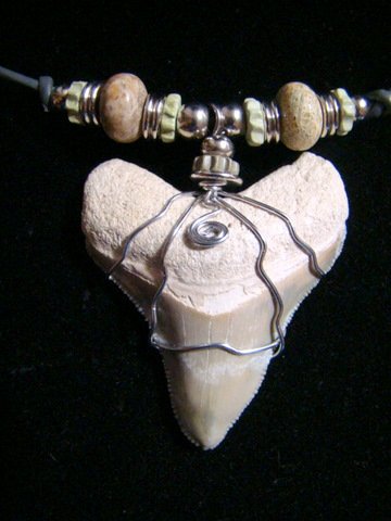 FOSSIL BONE VALLEY MEGALODON SHARK TOOTH & FOSSIL CORAL NECKLACE 2 1/4"