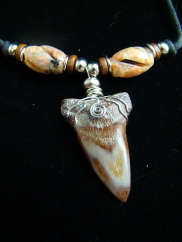 FOSSIL MEGALODON SHARK 1 1/2" TOOTH NECKLACE AGATE BEAD HARLEY STAINLESS STEEL WIRE